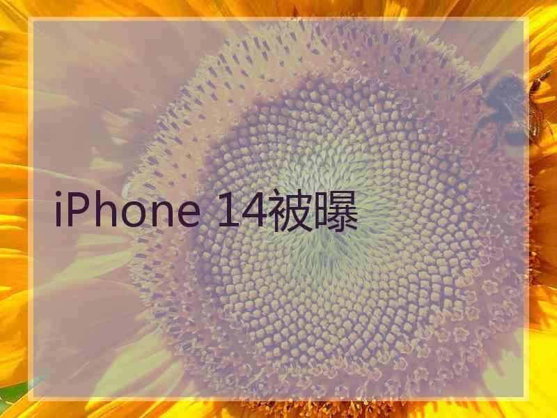 iPhone 14被曝