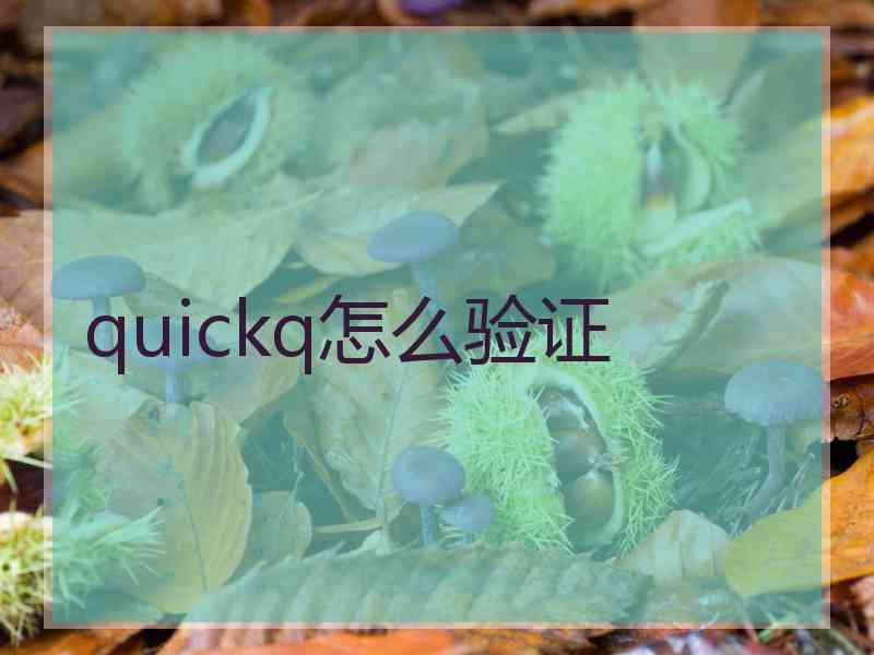 quickq怎么验证