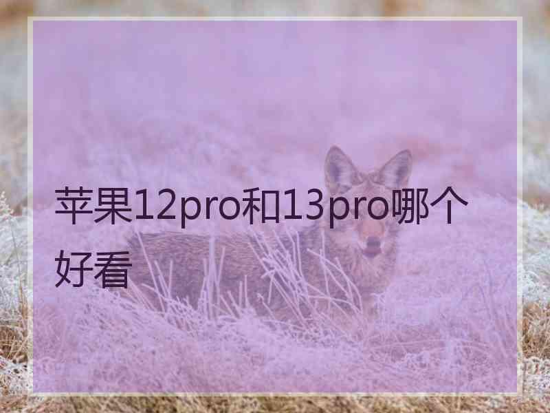 苹果12pro和13pro哪个好看