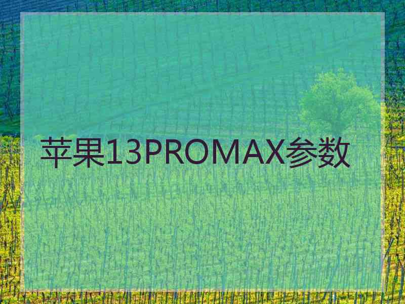 苹果13PROMAX参数