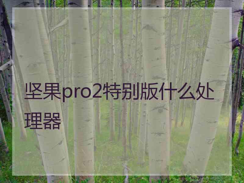 坚果pro2特别版什么处理器