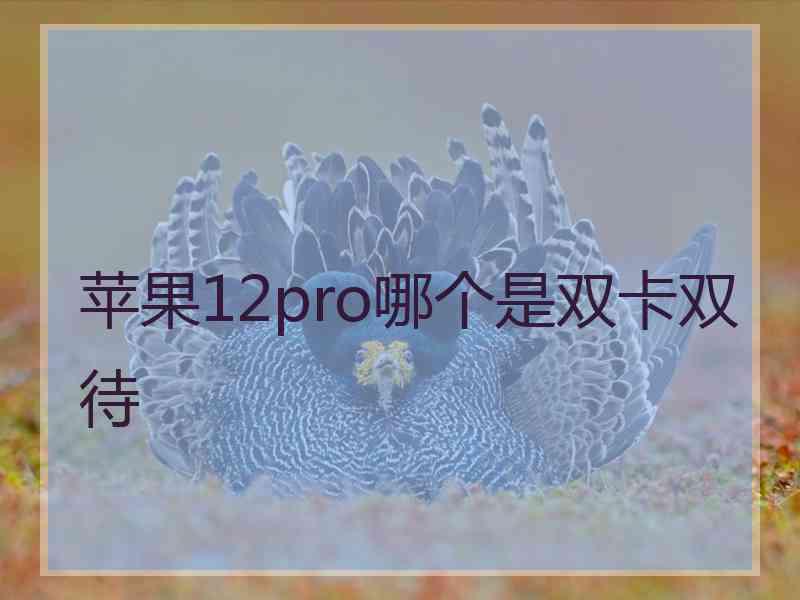 苹果12pro哪个是双卡双待