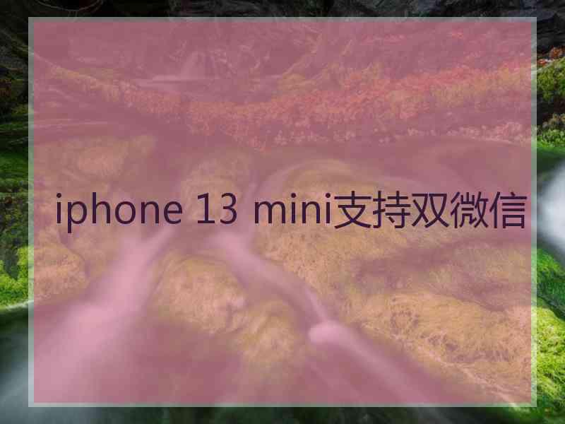 iphone 13 mini支持双微信