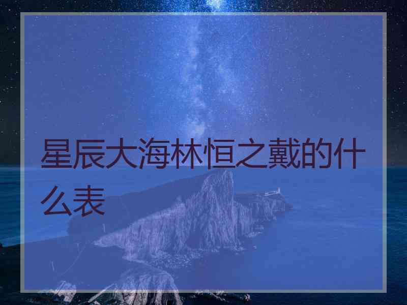 星辰大海林恒之戴的什么表