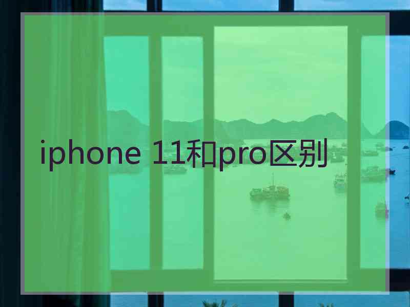 iphone 11和pro区别