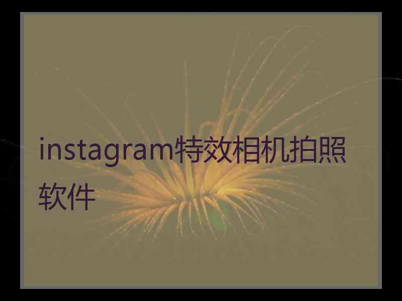 instagram特效相机拍照软件