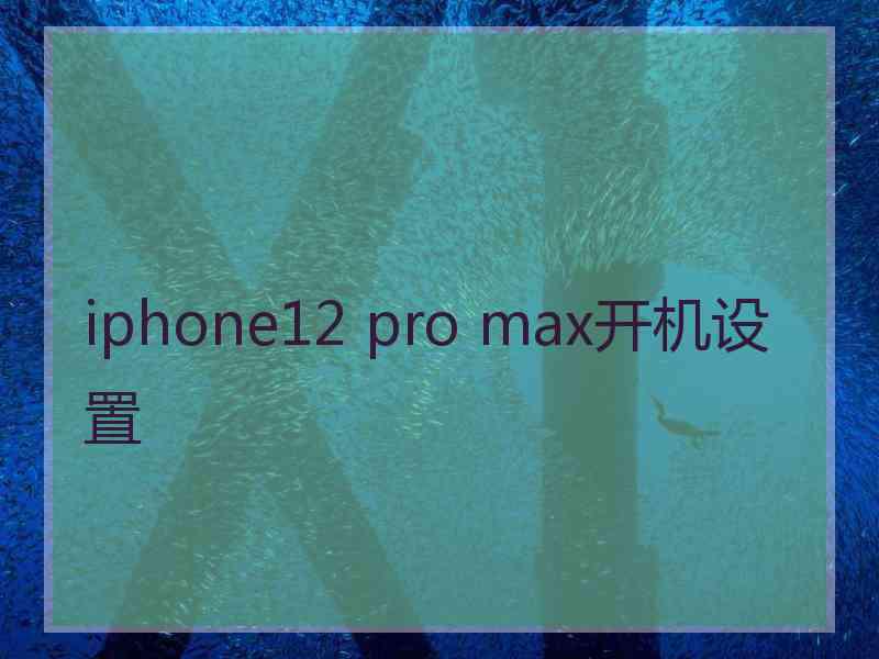 iphone12 pro max开机设置