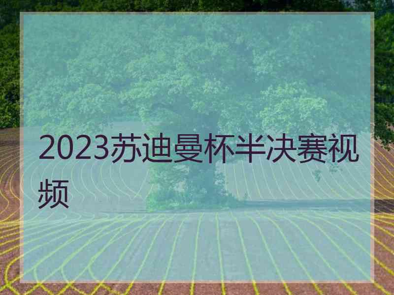 2023苏迪曼杯半决赛视频