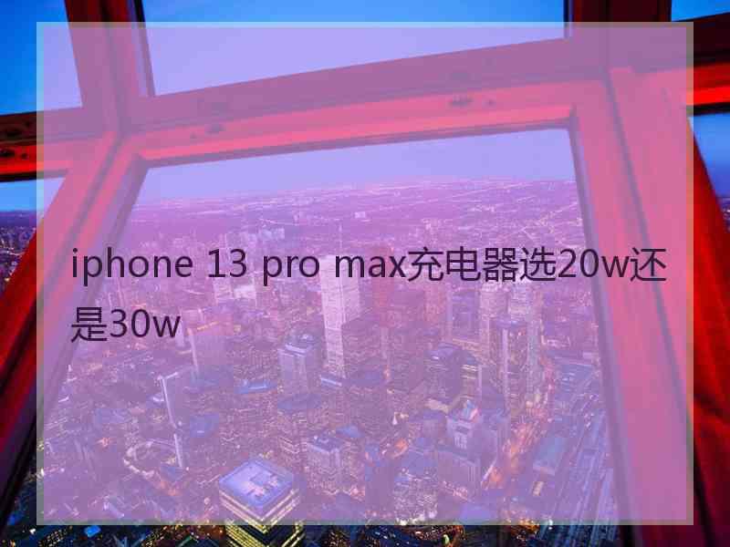 iphone 13 pro max充电器选20w还是30w