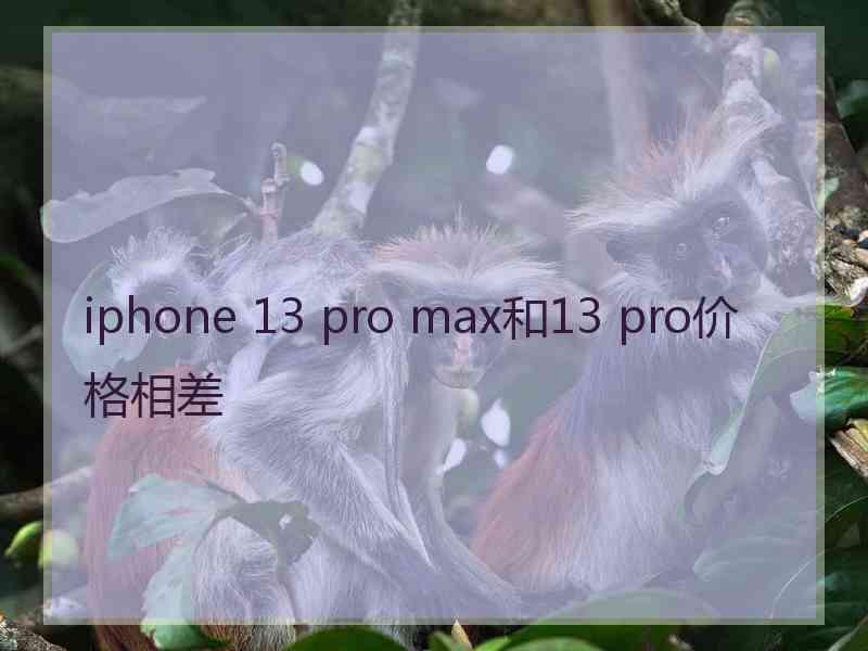 iphone 13 pro max和13 pro价格相差