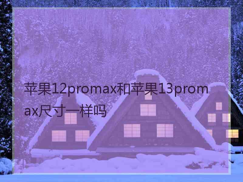 苹果12promax和苹果13promax尺寸一样吗