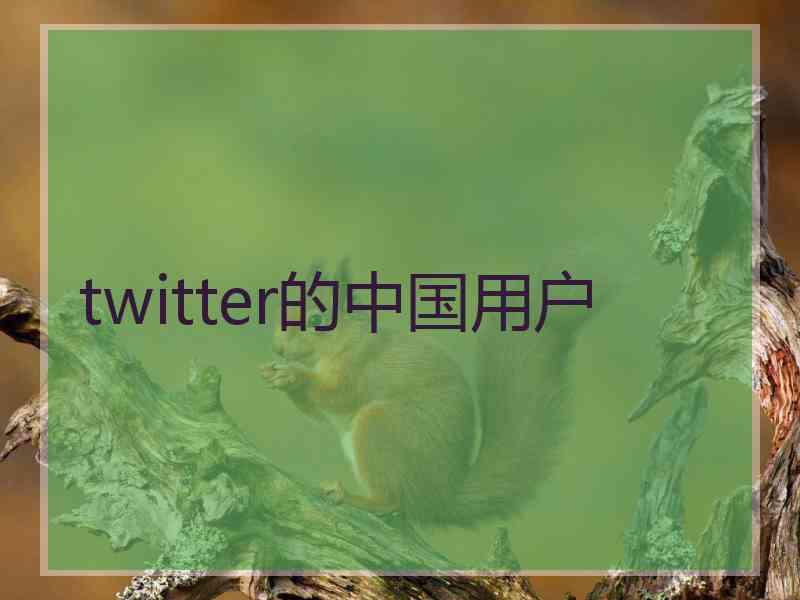 twitter的中国用户