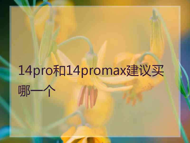 14pro和14promax建议买哪一个