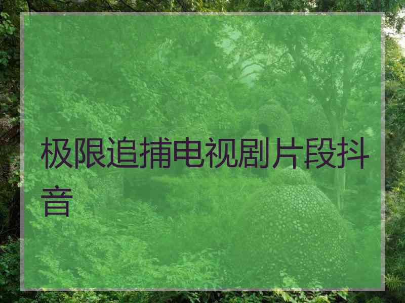 极限追捕电视剧片段抖音