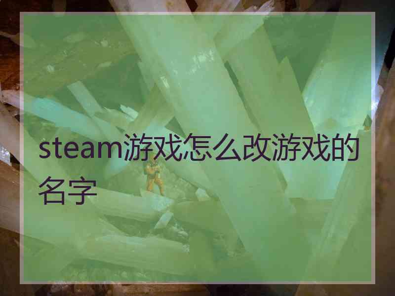 steam游戏怎么改游戏的名字