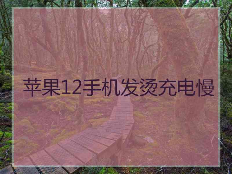 苹果12手机发烫充电慢