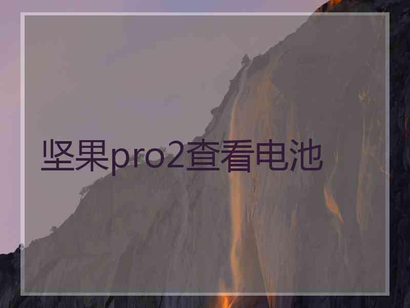 坚果pro2查看电池