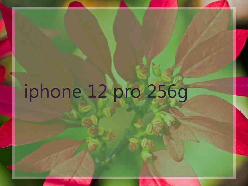 iphone 12 pro 256g