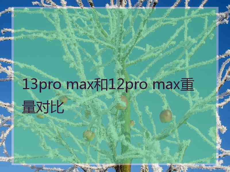 13pro max和12pro max重量对比