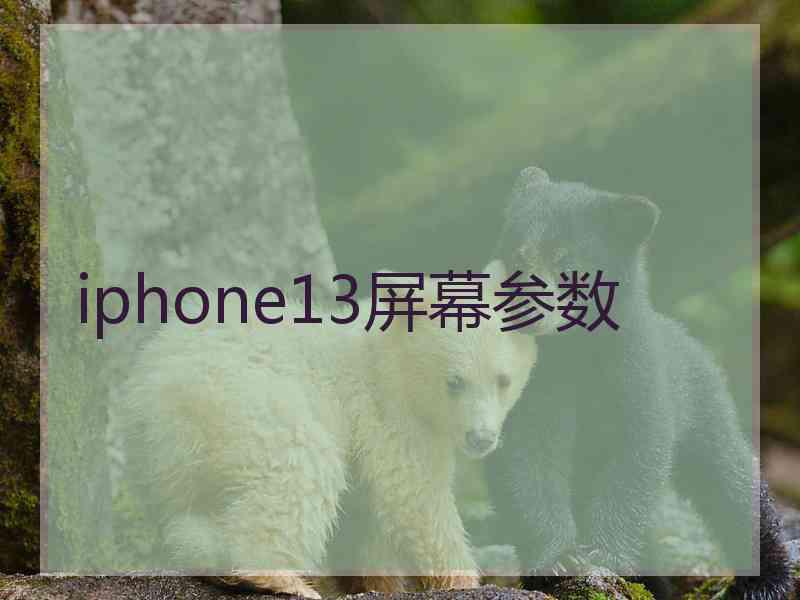 iphone13屏幕参数