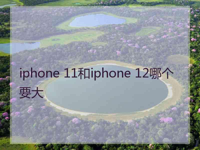 iphone 11和iphone 12哪个要大