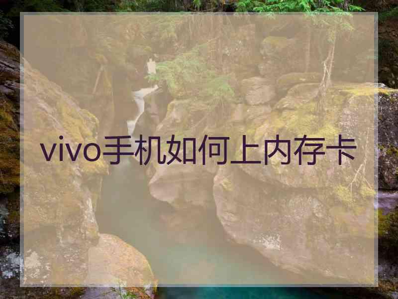 vivo手机如何上内存卡