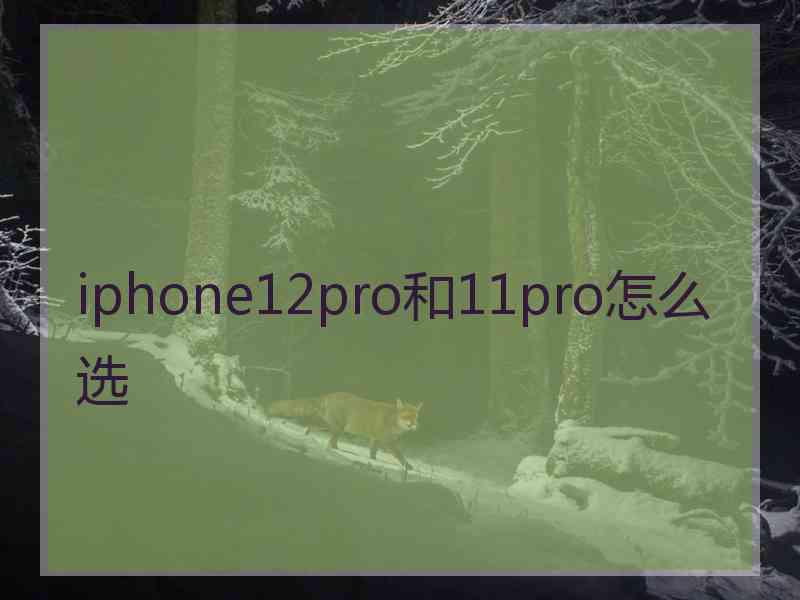 iphone12pro和11pro怎么选