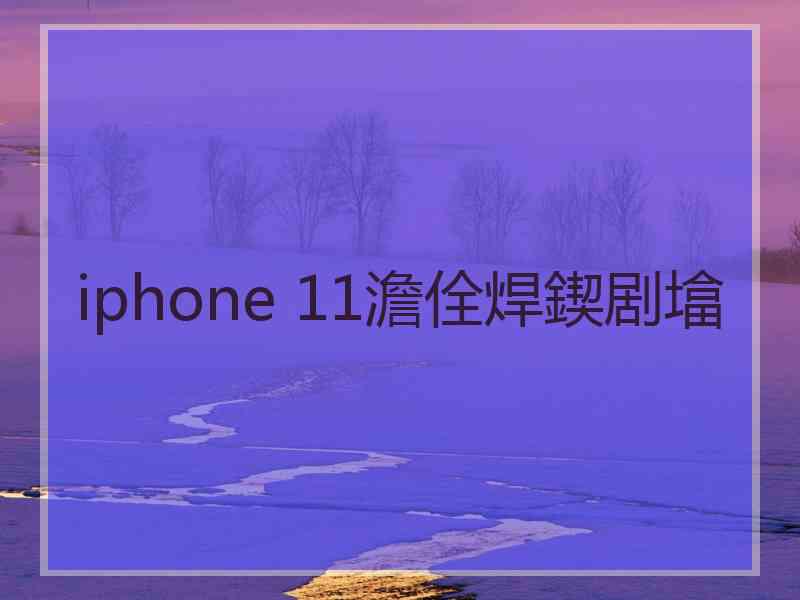 iphone 11澹佺焊鍥剧墖