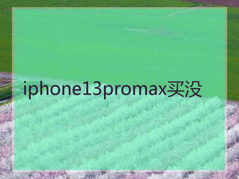 iphone13promax买没