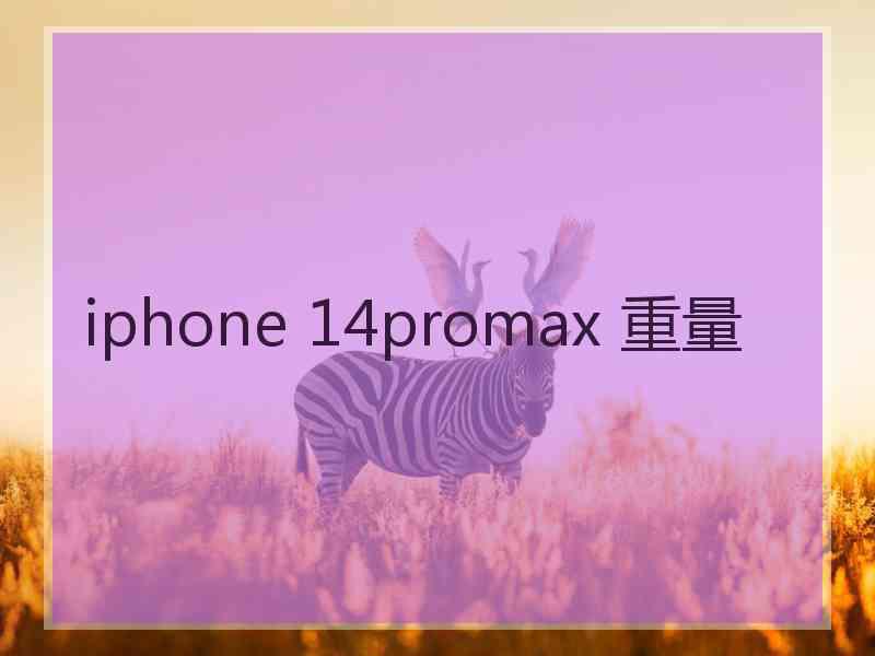 iphone 14promax 重量