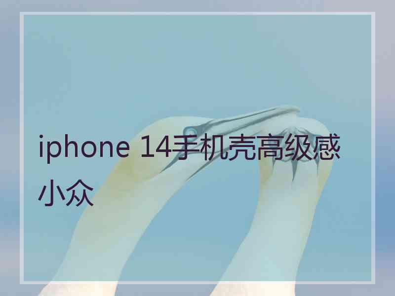 iphone 14手机壳高级感小众