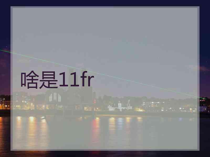 啥是11fr