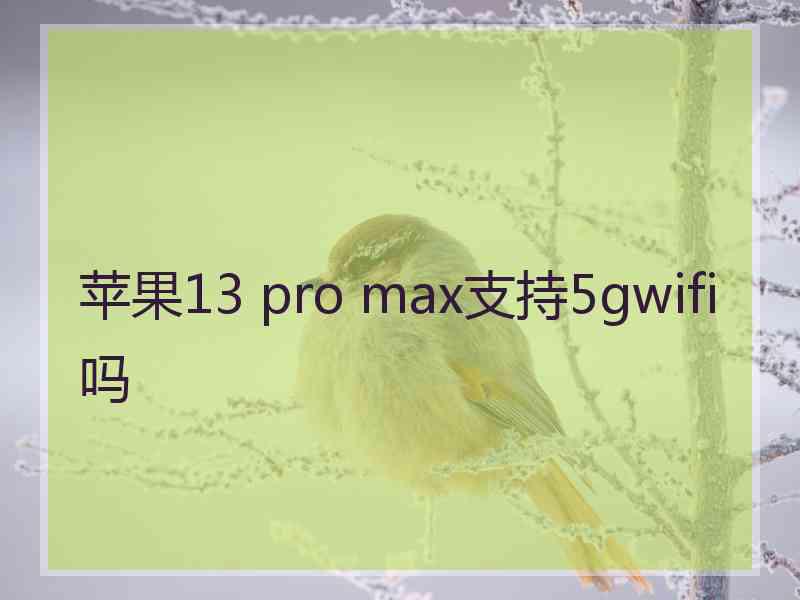 苹果13 pro max支持5gwifi吗