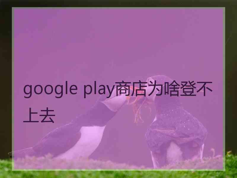 google play商店为啥登不上去