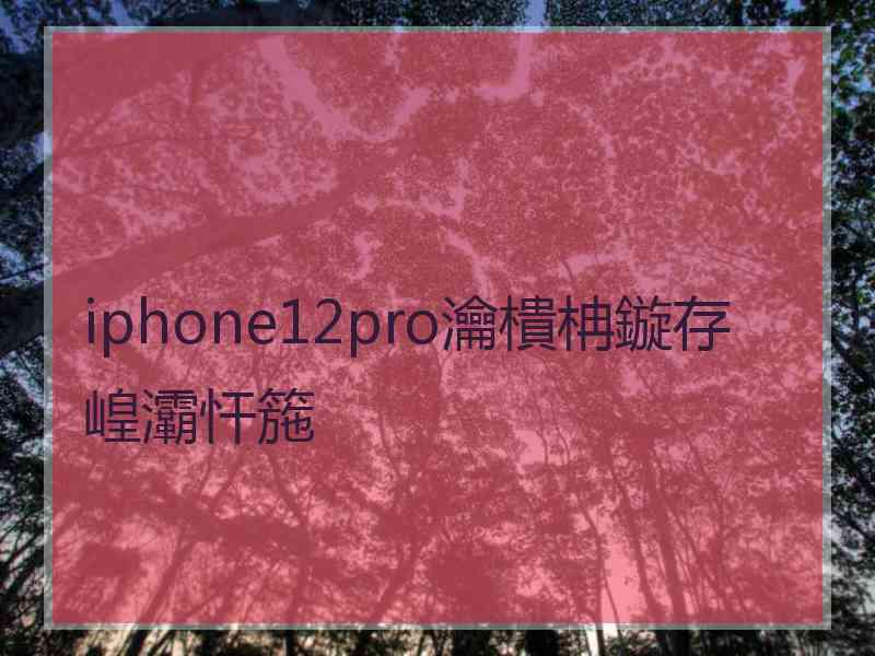 iphone12pro瀹樻柟鏇存崲灞忓箷