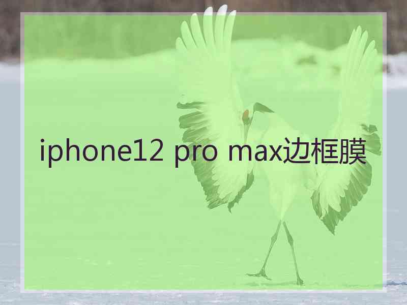 iphone12 pro max边框膜