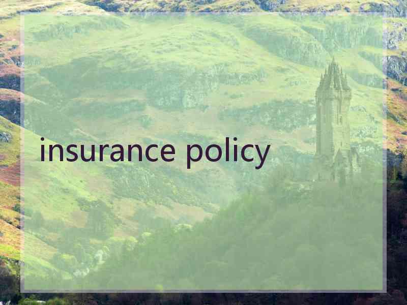 insurance policy