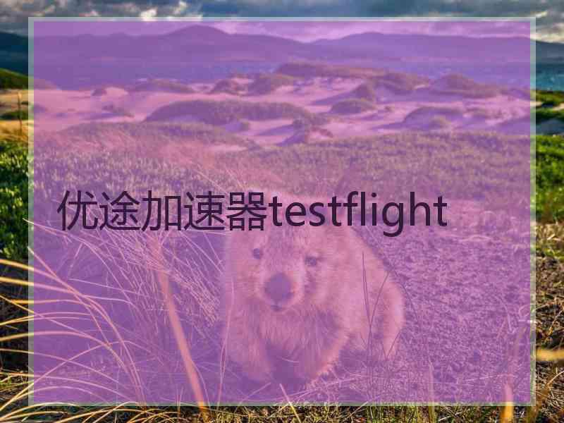 优途加速器testflight