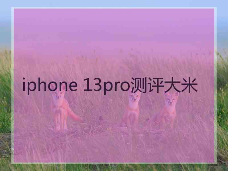 iphone 13pro测评大米