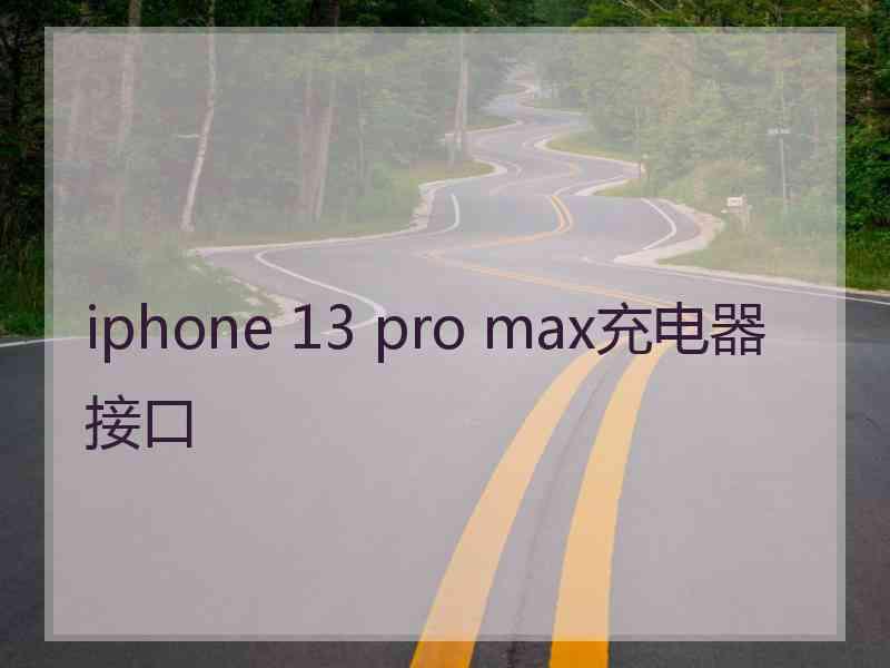 iphone 13 pro max充电器接口