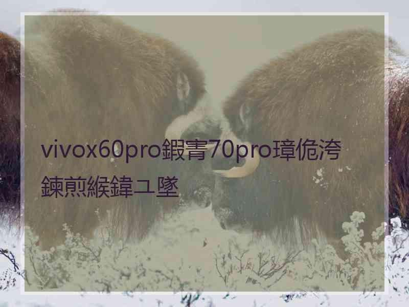 vivox60pro鍜寈70pro璋佹洿鍊煎緱鍏ユ墜