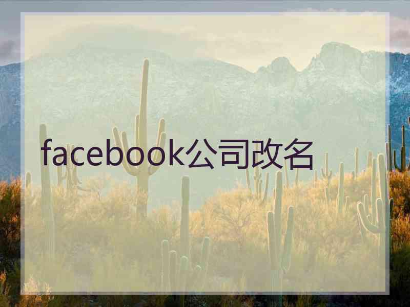 facebook公司改名