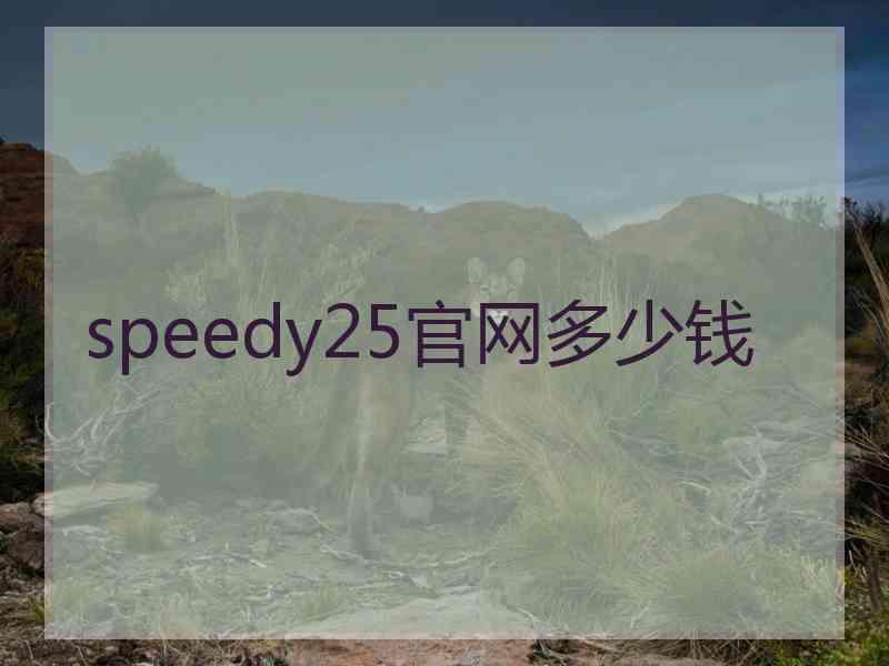 speedy25官网多少钱