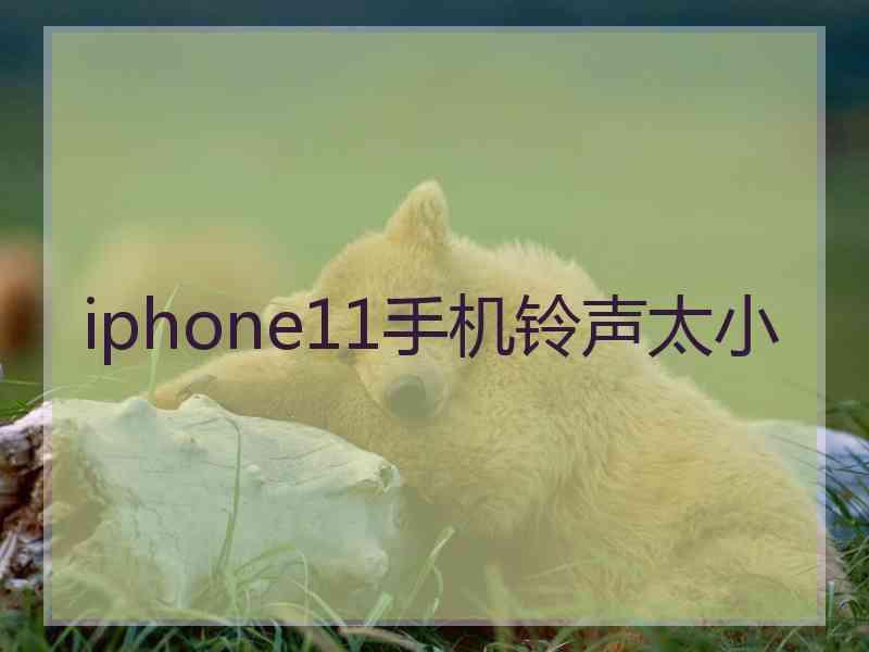 iphone11手机铃声太小