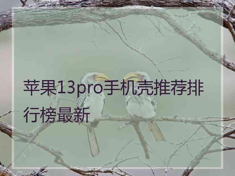 苹果13pro手机壳推荐排行榜最新