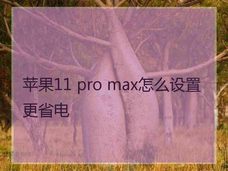 苹果11 pro max怎么设置更省电