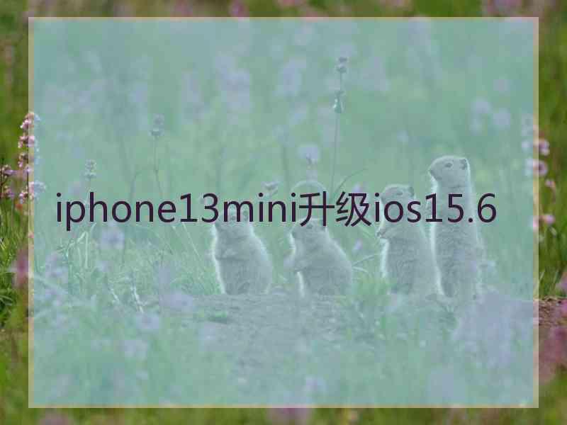 iphone13mini升级ios15.6