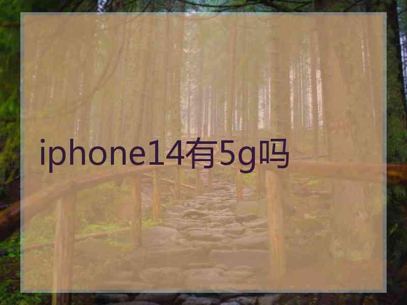 iphone14有5g吗