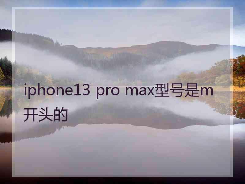 iphone13 pro max型号是m开头的