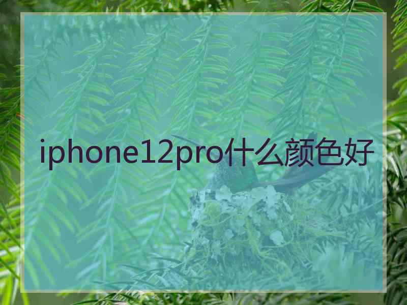 iphone12pro什么颜色好